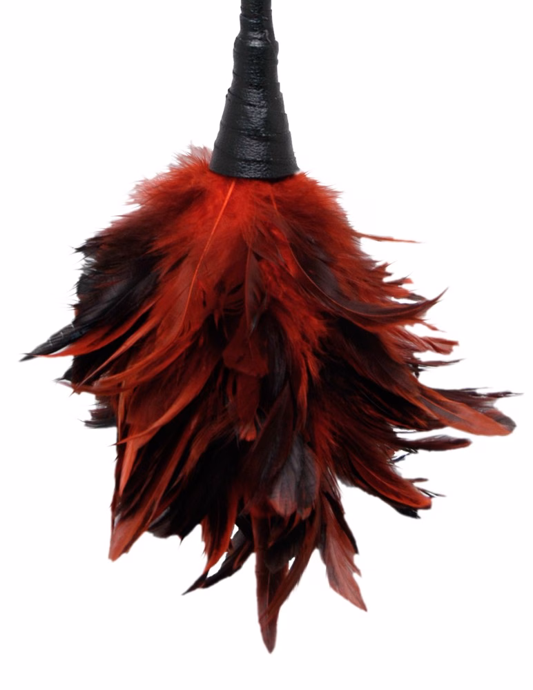 Frisky Feather Duster Red/Black - Image 4