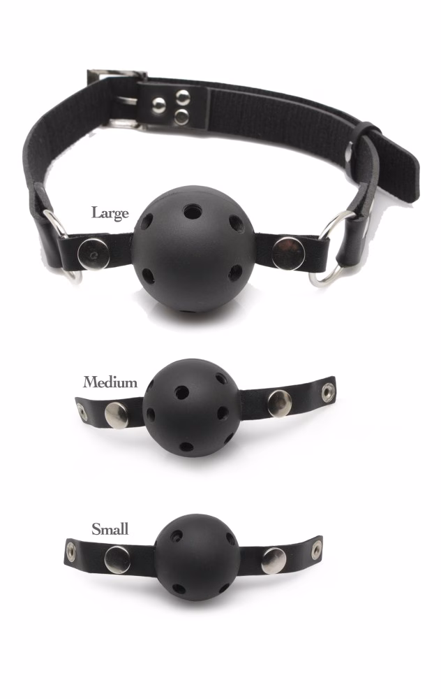 Ball Gag Training System Black - Image 3
