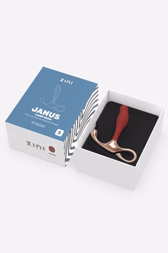 Zini Janus Lamp Iron Prostate Massager S_B15O25_4 - Image 4