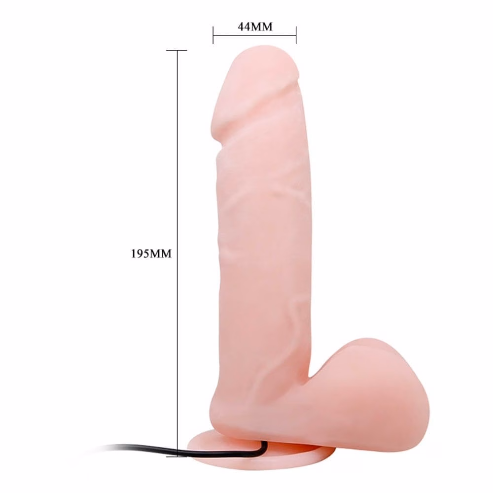 Baile Skin Oliver 9,5" 1 - Image 4