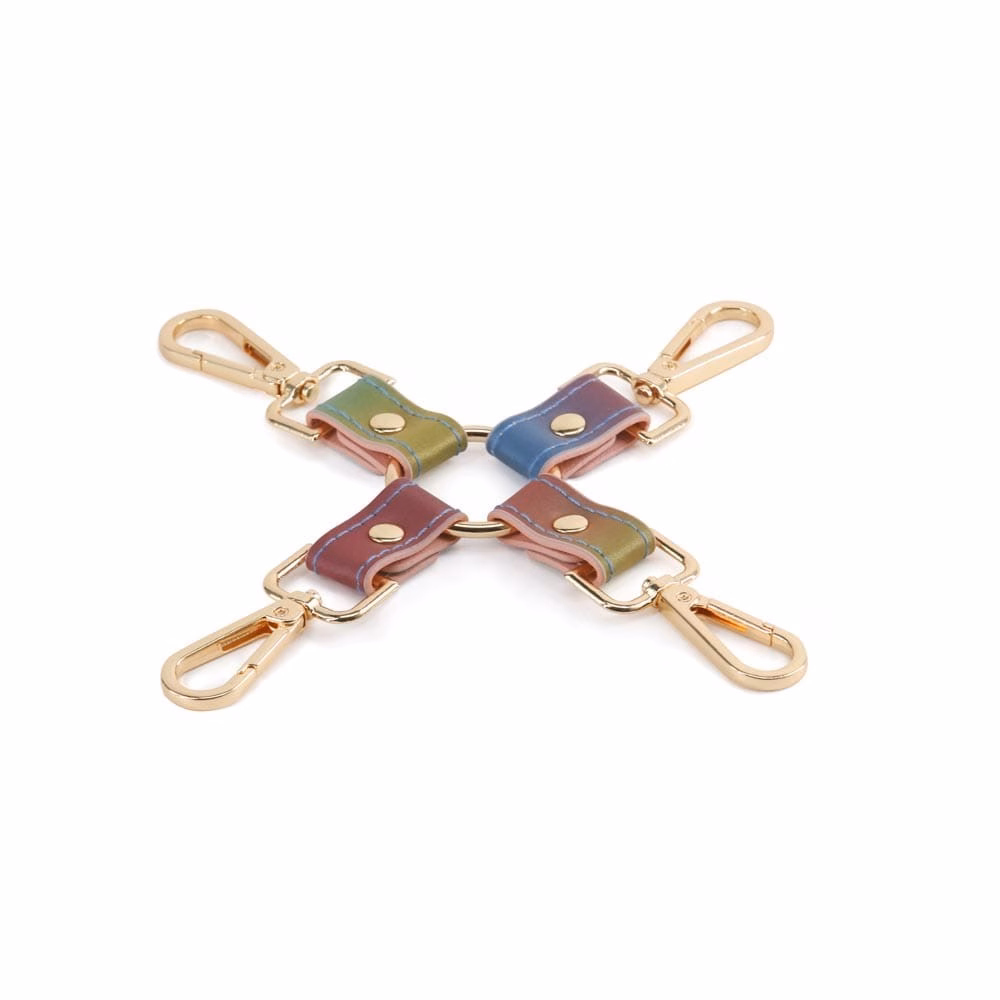 Spectra Bondage - Hogtie - Rainbow_B15O25_2 - Image 2