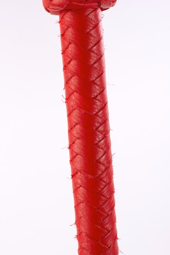 Softy Handle Calf Leather Tails Red_B15O25_3 - Image 3