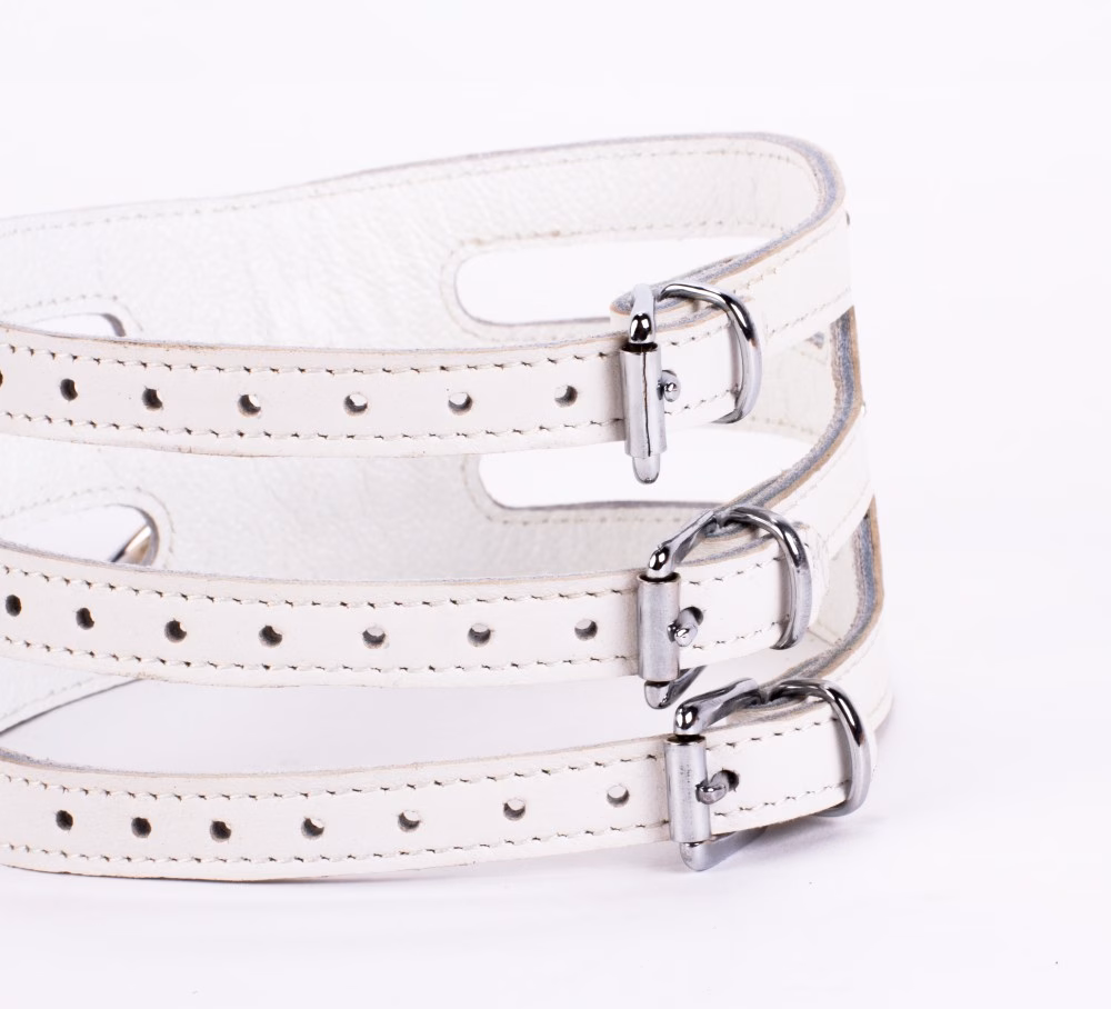 Designer Traingo Collar Made in Calf Softy Leather White - Image 5
