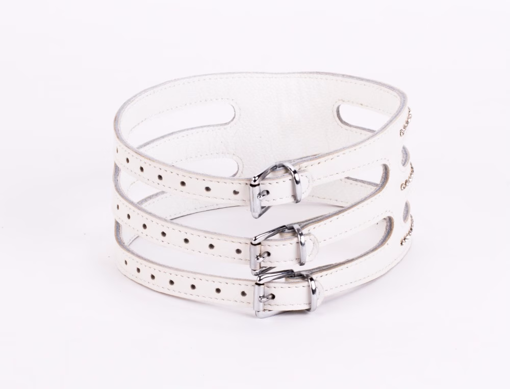 Designer Traingo Collar Made in Calf Softy Leather White - Image 6