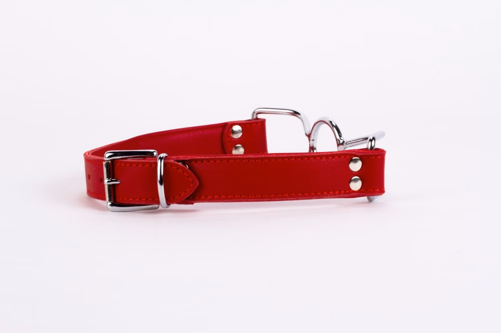 Calf Softy Leather Top and Lamb Leather Padding with Stainless Steel Mouth Piece Red - Image 4
