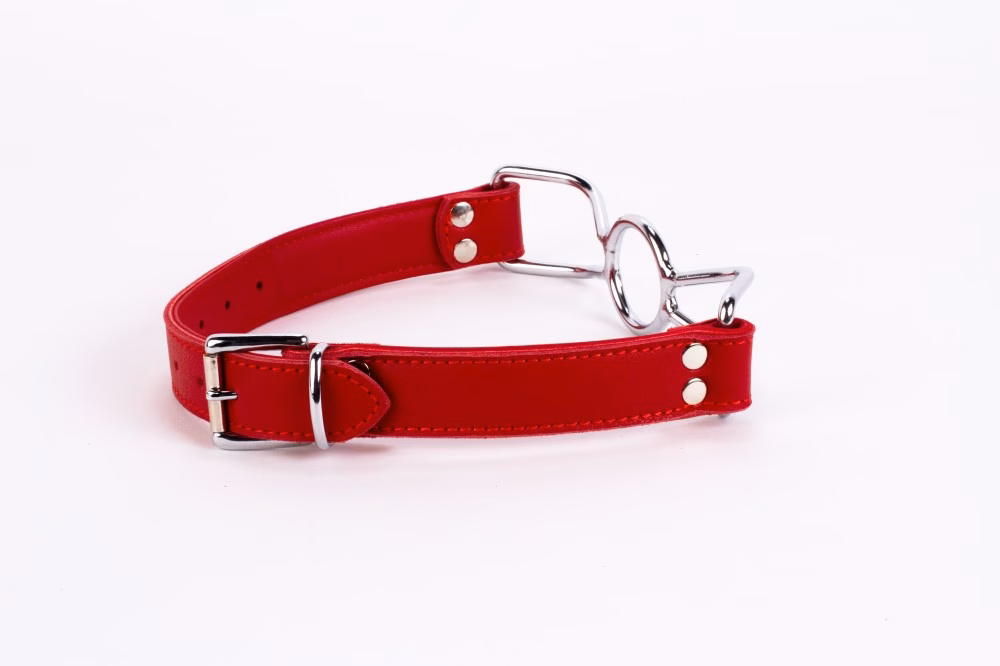 Calf Softy Leather Top and Lamb Leather Padding with Stainless Steel Mouth Piece Red - Image 5