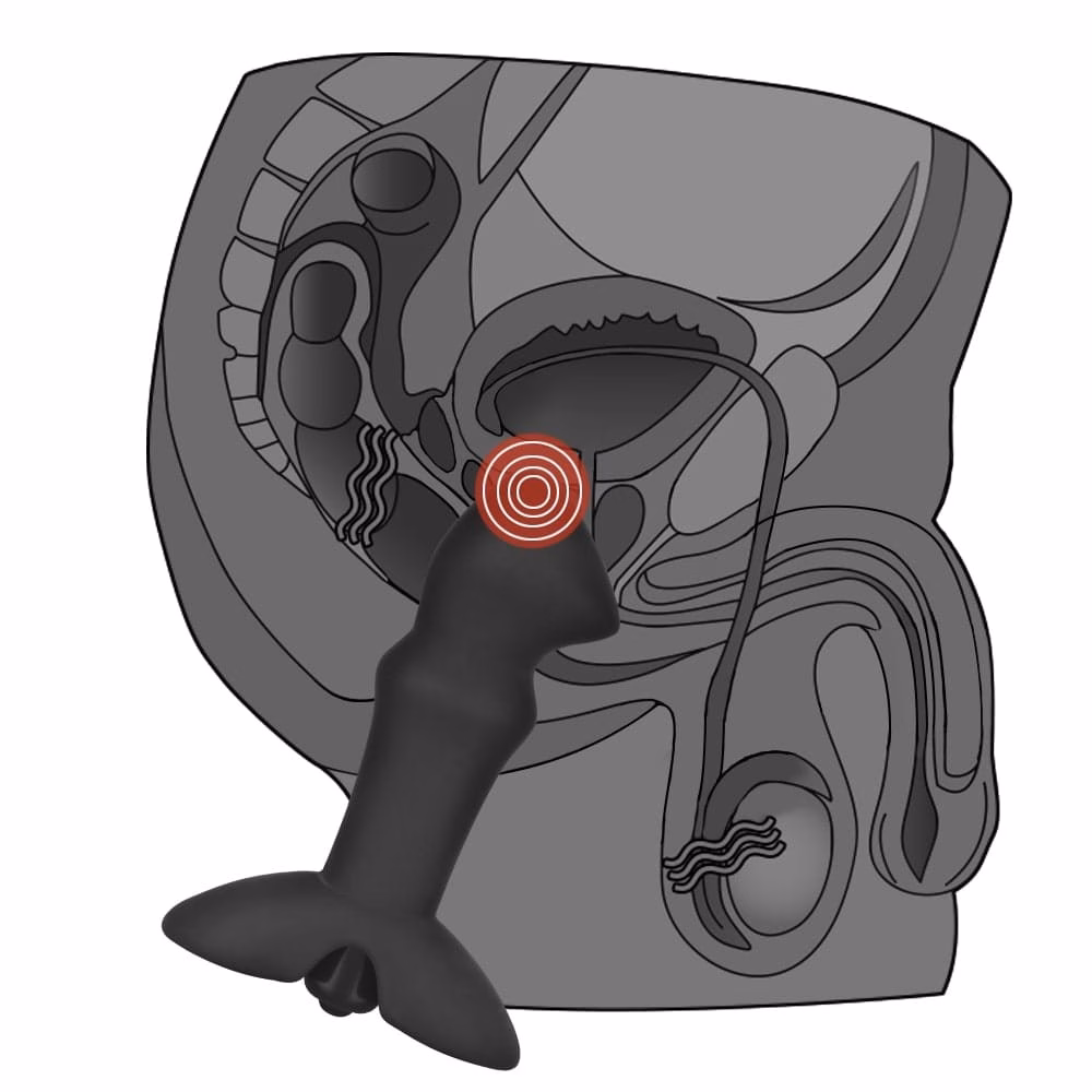 Anal Indulgence Collection Prostate Stud - Image 4