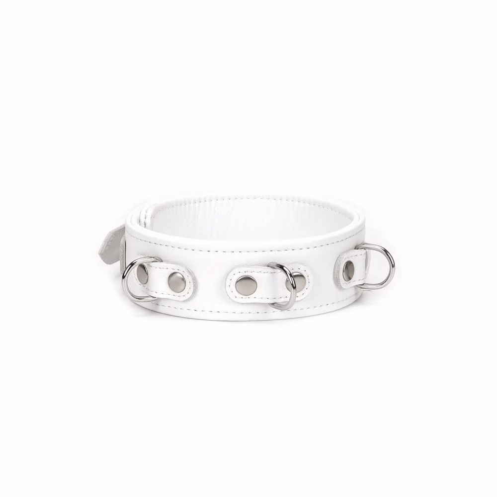 Fuji White Collar with Leash - 3. kép