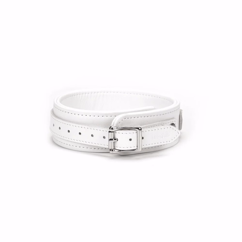 Fuji White Collar with Leash - 4. kép
