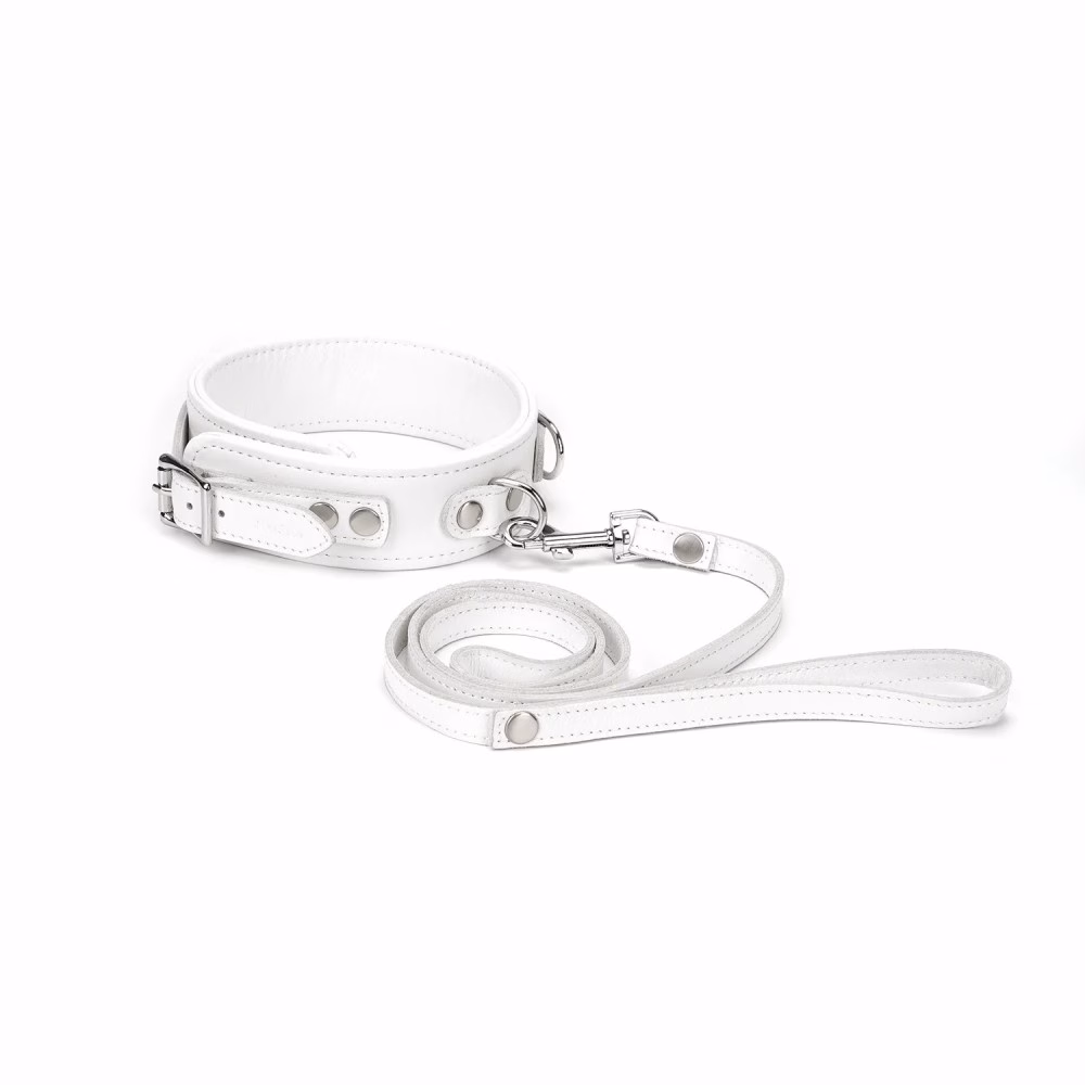 Fuji White Collar with Leash - 5. kép