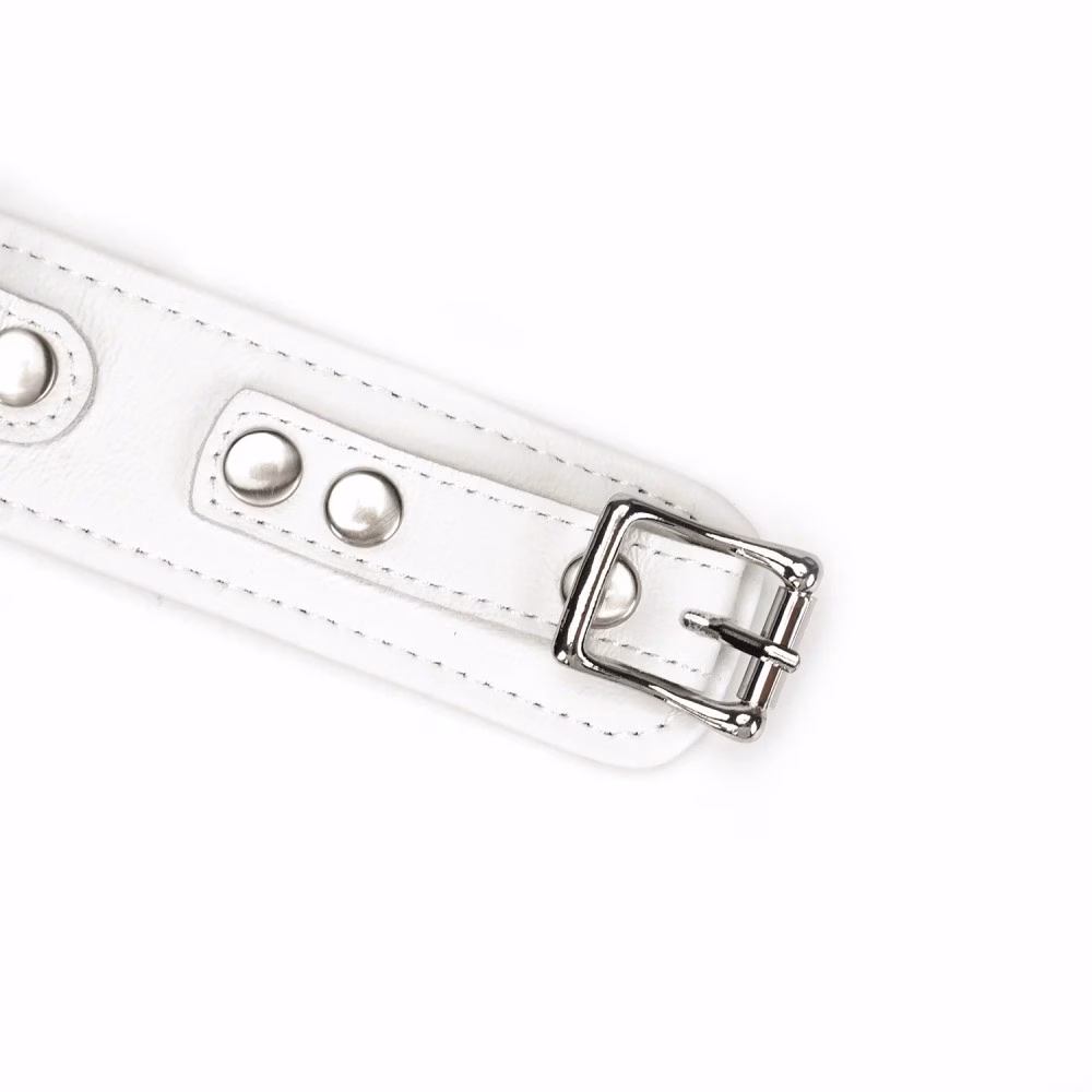 Fuji White Collar with Leash - 6. kép