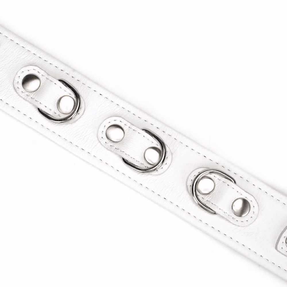 Fuji White Collar with Leash - 7. kép