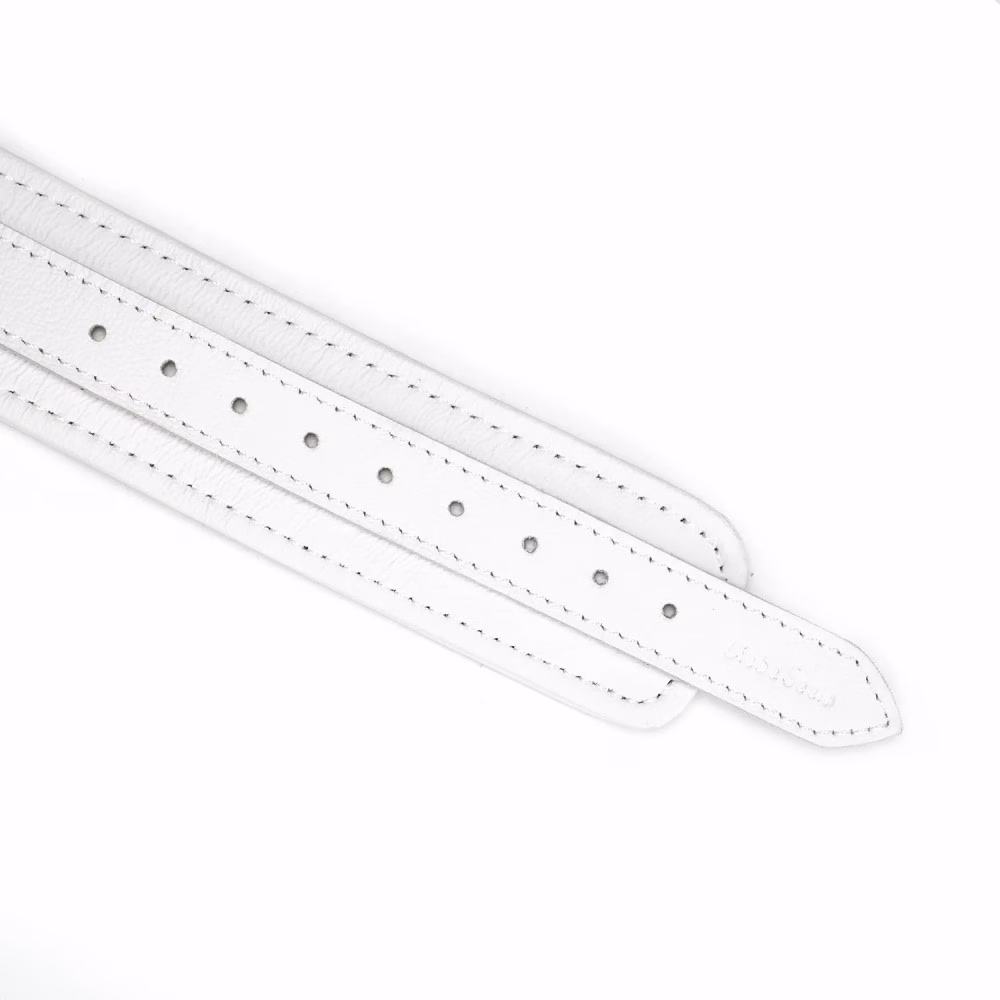 Fuji White Collar with Leash - 8. kép