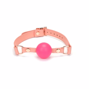 Pink Dream Ball Gag